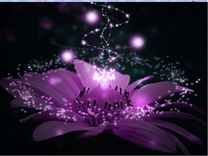 У пошуках &laquo;квітки щастя&raquo; (за творами Богдана Лепкого). Авторка - Сідяга Ірина Володимирівна, учителька української мови та літератури Тернопільської ЗОШ І-ІІІ ст. №23